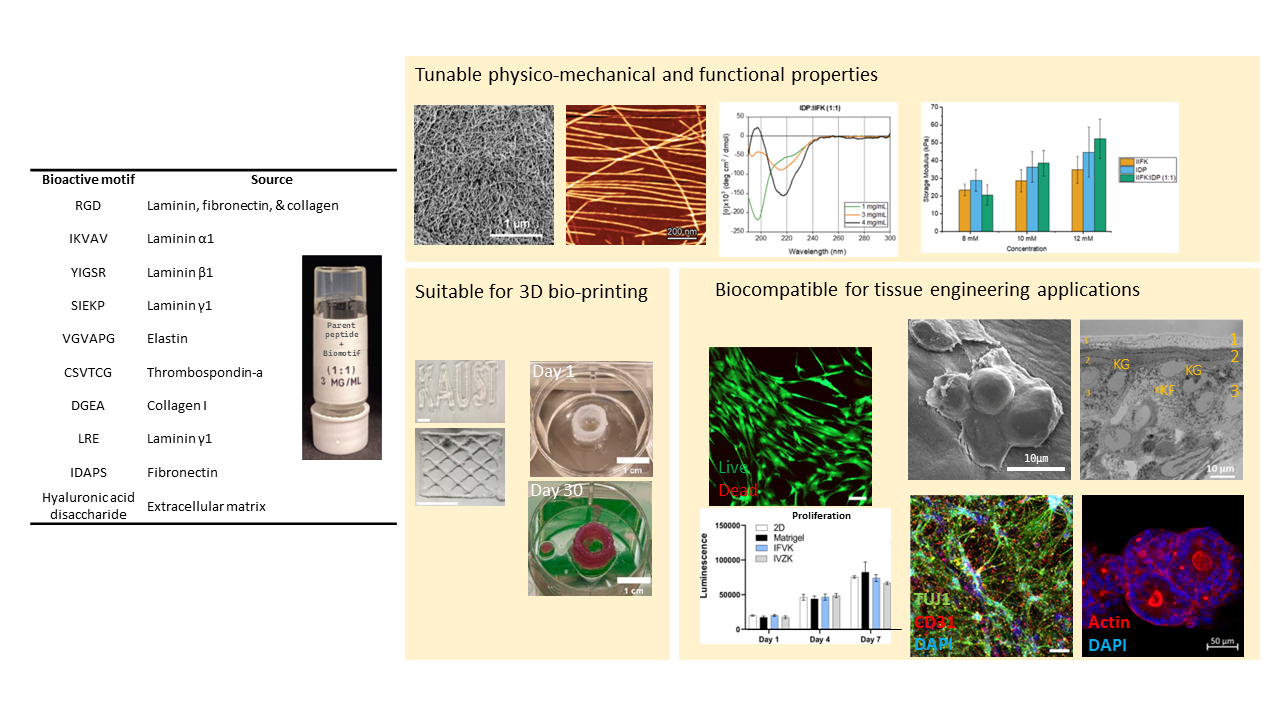 Tissue Engineering Nanomedicine